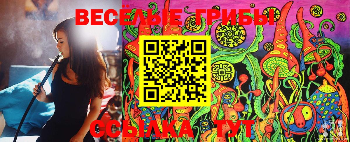 Галлюциногенные грибы Psilocybe  Вход с VPN  Псилоцибиновые грибы Cubensis  Изобильный 